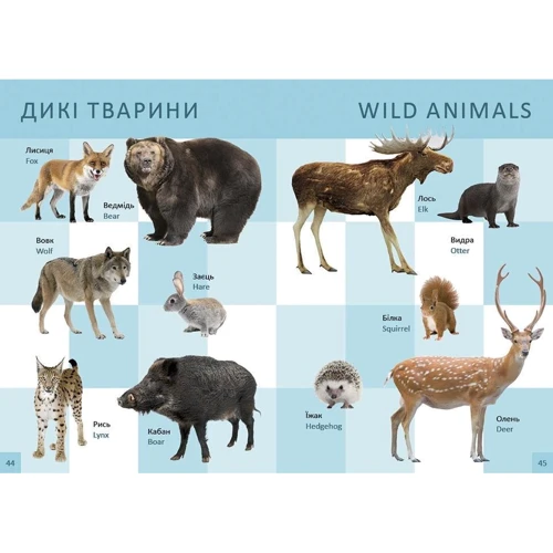 Перша книга малюка / Baby's First Book: Виробник Талант