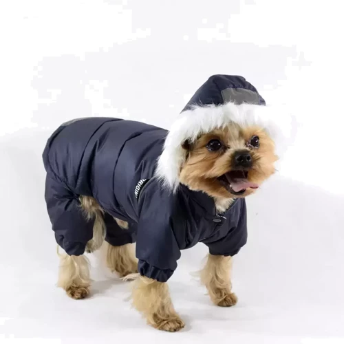 Костюм для собаки Lucky Pet Соло Йорк №1 синий 28х40 см (6820479483123): Тип Костюмы