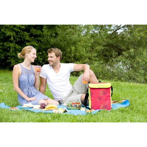 Термосумка Campingaz Pink Daisy Minimaxi 29L (2000013690): Тип термосумка