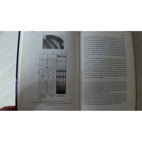 Крис Фрит: Мозг и душа: ISBN 978-5-17-137357-3