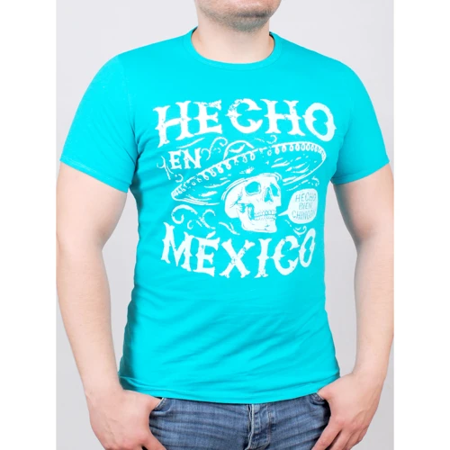 Футболка PFProject MEXICAN L бірюзова з принтом: Вид футболки