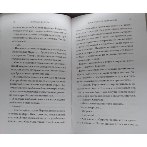 Бриттани Черри: Земля, о которую мы разбились. Книга 3: Автор Бриттани Черри