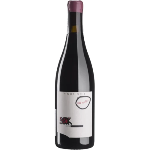 Вино Judith Beck Pinot Noir Bambule! 2021 красное сухое 0.75 л (BWR9108)