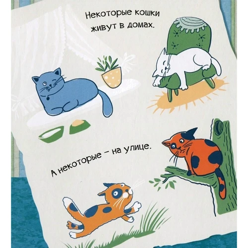 Мария Жученко: Знакомься, я котенок: Обложка Картон