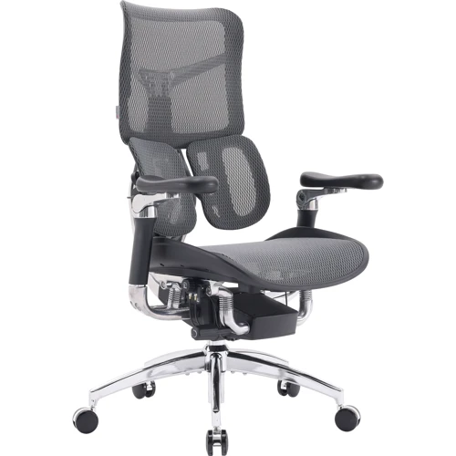 Офисное кресло Sihoo DORO S300 Mesh Dark Grey (S300-M201)