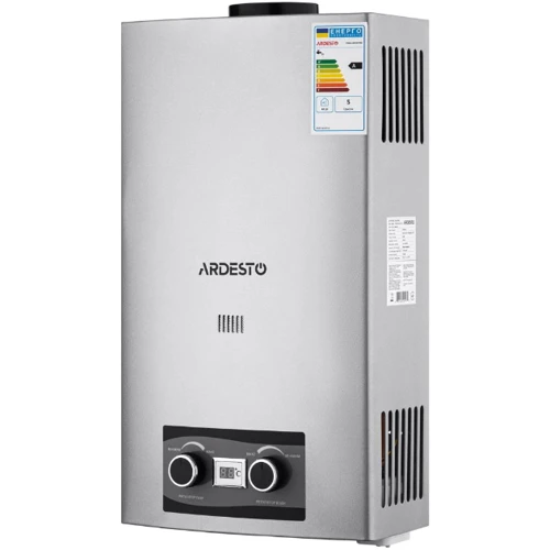 Водонагреватель газовый Ardesto X2 (TFGBH-10B-X2-STEEL): Вид Дымоходный