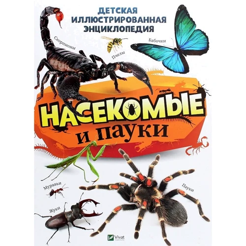 Насекомые и пауки