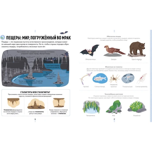 Большая энциклопедия природы: Производитель Клевер Медиа Групп