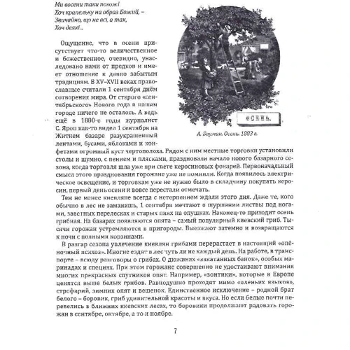 Анатолий Макаров: Киевский календарь. Том 3. Осень-Зима: Количество страниц 224