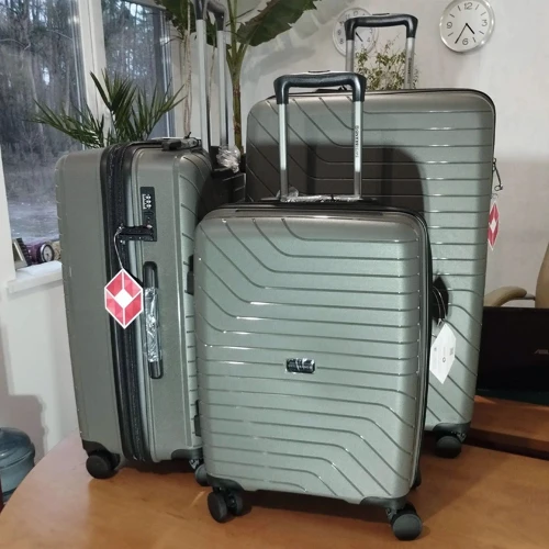 Валіза Swissbrand Eden (M) Charcoal (SWB_LHEDE174M): Тип Чемоданы