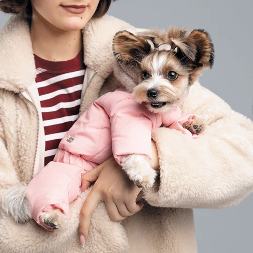 Костюм зимний Pet Fashion JUDY для собак пудровый XS2 (4823082428830): Тип Костюмы