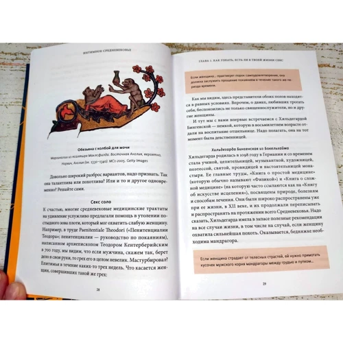 Розали Гилберт: Интимное Средневековье. Истории о страсти и целомудрии, поясах верности и приворотных снадобьях: Обложка Твердая