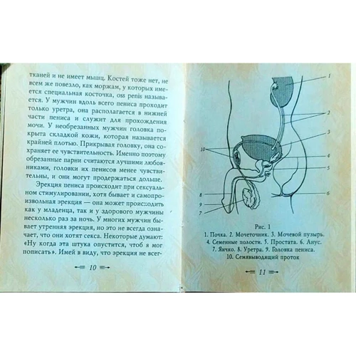 Збигнев Кветковский, Ирена Митрич: Библия секса: Жанр Секс