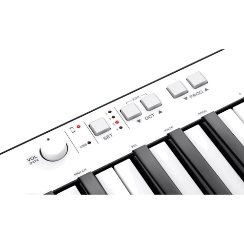 IK MULTIMEDIA iRIG KEYS PRO: Механика Динамическая