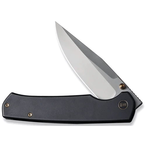 Нож Weknife Evoke WE21046-1 (WE21046-1): Тип ножа Складной
