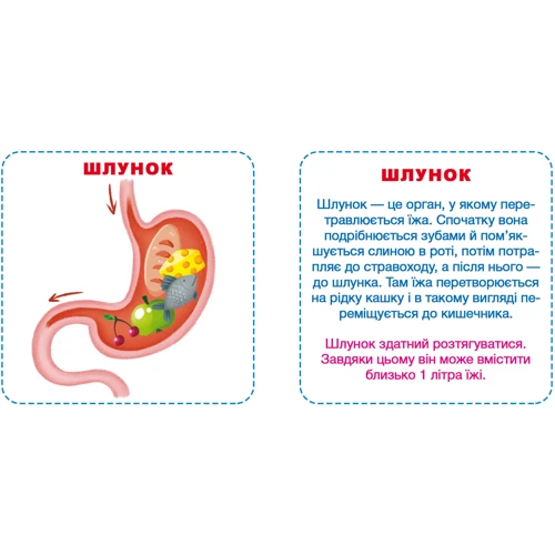 Моє тіло. Розумні картки: Обложка Картон