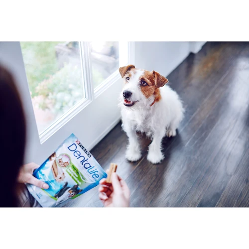 Лакомство для собак Purina Dentalife Small малых пород для здоровья зубов и десен 115 г (12452479): Вес 690 г