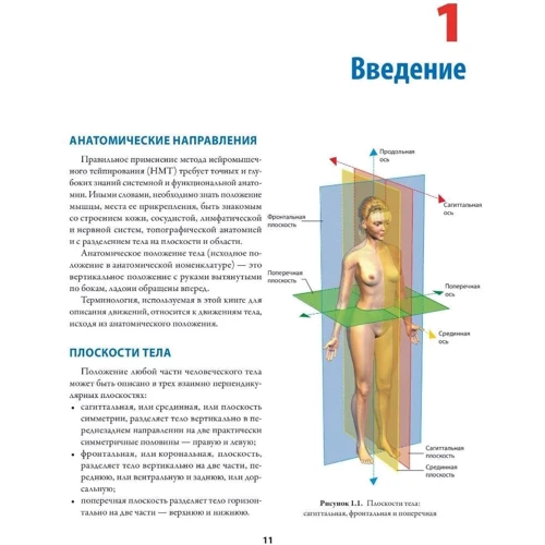 Девід Блоу: Нейром'язовий тейпінг: ISBN 978-617-7896-20-2