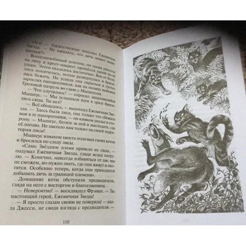 Эрин Хантер: Коты-воители. Гроза Ежевичной звезды. Вода и кровь: Количество страниц 320
