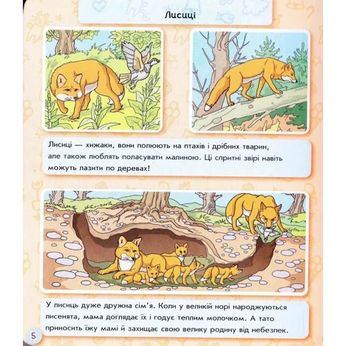 Животний ліс. Енциклопедія у картинках: Кількість сторінок 22