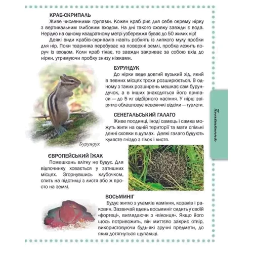 Животні. Енциклопедія для допитливих: ISBN 978-617-695-026-4