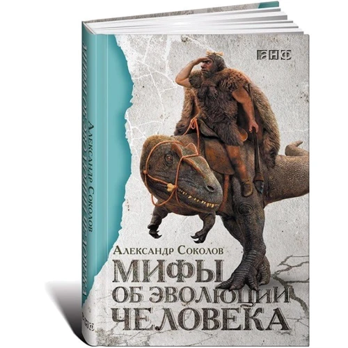 Александр Соколов: Мифы об эволюции человека фото 10
