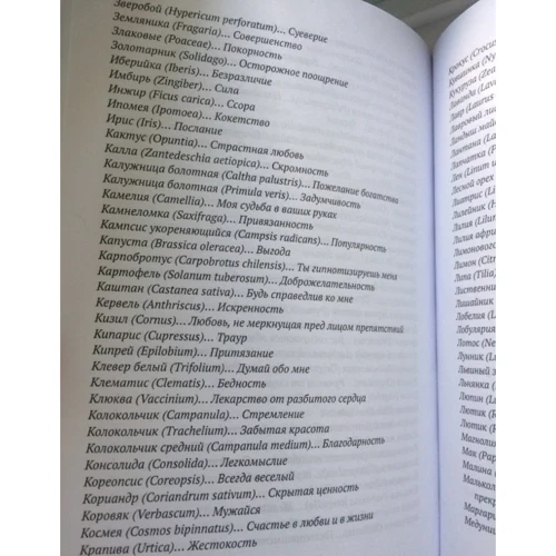 Ванесса Диффенбах: Язык цветов: Жанр Современная проза