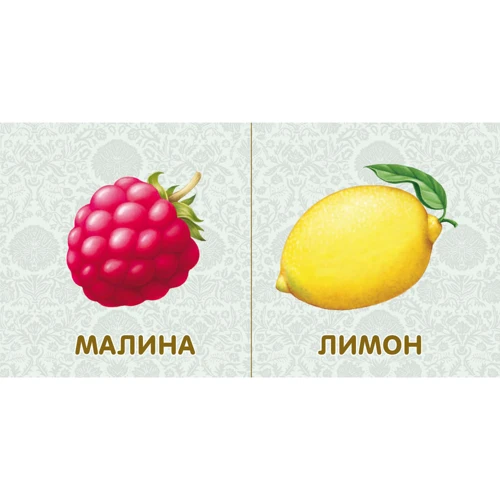 Фрукты и… Книжки-картонк: Количество страниц 12