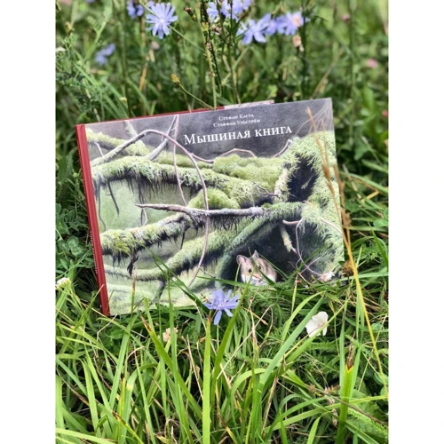 Стефан Каста: Мышиная книга: Производитель Белая ворона