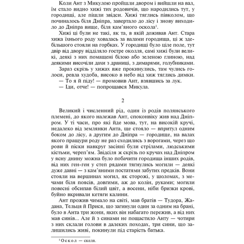 Семен Скляренко: Святослав: Количество страниц 670