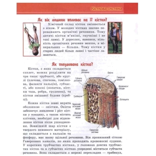 В. Мирошникова, В. Істоміна: Енциклопедія Людина: Производитель Септима