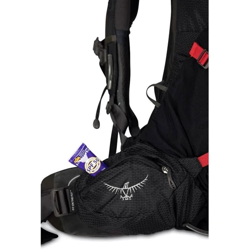 Рюкзак туристический Рюкзак туристический Osprey Aether Plus 60 Axo Green S/M зеленый (009.2440) фото 2