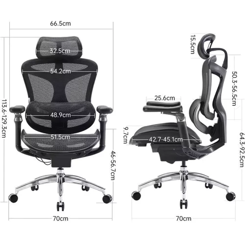 Офисное кресло Sihoo DORO C300 Pro Mesh Black (DORO-C300-PRO-M101)