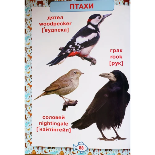 Перша енциклопедія тварин для малюків. Від 8 місяців до 5 років: ISBN 978-966-936-422-7