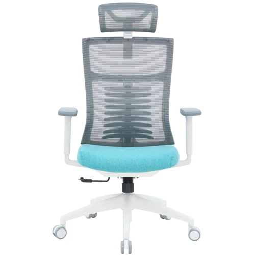 Офісне крісло OfficePro Balance (OC550-W-DG-BL): Тип для персоналу