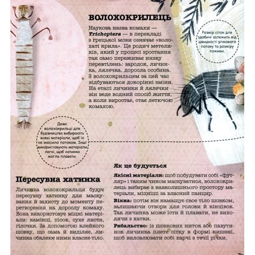 Даніель Нассар: Архітектори у світі тварин: Обложка Твердая