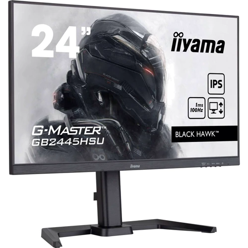 Монитор iiyama GB2445HSU-B2: Формат изображения 16:9