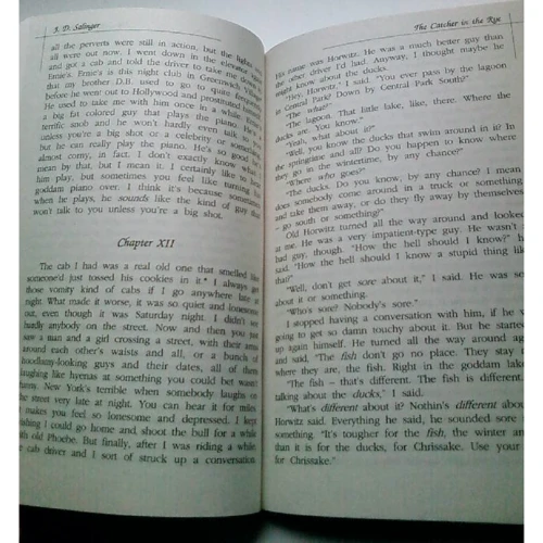Jerome Salinger: The Catcher in the Rye: Автор Джером Селінджер