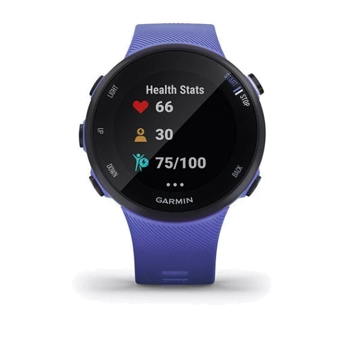 Смарт-годинник Garmin Forerunner 45s Iris (010-02156-11): Дисплей 1.04" (208x208)