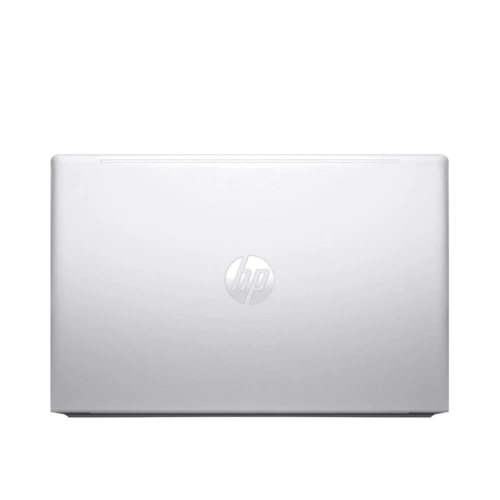 Ноутбук HP ProBook 455 G10 (85D55EA): Оперативная память 16 ГБ
