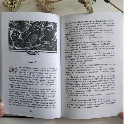 Эрин Хантер: Коты-воители. Главная надежда: Производитель Абрис Олма