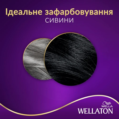 WELLATON Краска для волос 2/0 Черный 110 ml: Классификация Масс-маркет