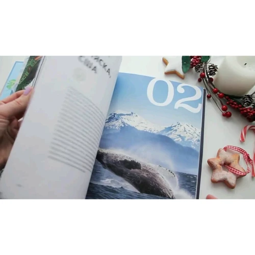 Лучшие путешествия 2018: Количество страниц 312