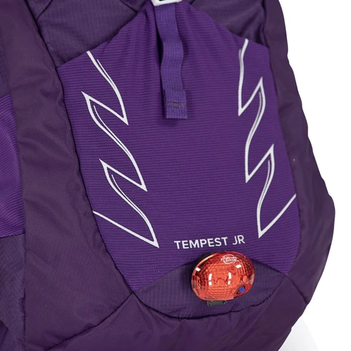 Рюкзак туристичний Рюкзак туристичний Osprey Tempest 14 Jr Jasper Green O / S зелений (009.2398) фото 5
