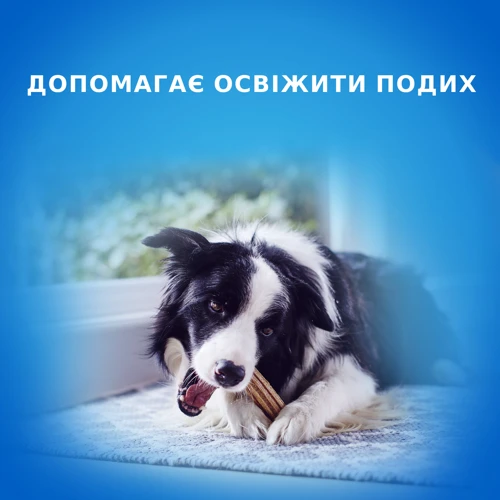 Лакомство для собак Purina Dentalife Medium средних пород для здоровья зубов и десен 115 г (12452740): Тип Стики