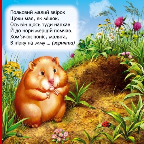 Василь Федієнко. Що у кого на обід?: Обкладинка картон