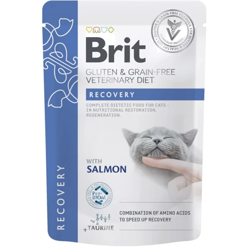 Влажный корм Brit GF VetDiet Recovery для котов с лососем 12 x 85 г (8595602566747): Тип Влажный корм
