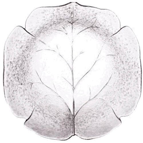 Салатник Luminarc Leafen G8207 (280 мм)