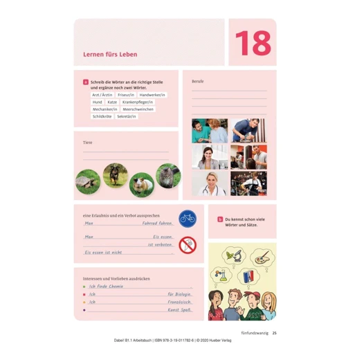 Dabei! B1.1: Arbeitsbuch: Обложка Мягкая