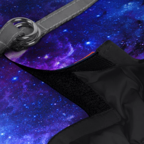 Шлея для собак мягкая WAUDOG Clothes c QR-паспортом рисунок NASA21 ХS2 обхват груди 28-31 см обхват шеи 20-22 cм (2902-0148) фото 2